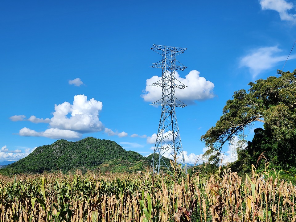 Phó Tổng Giám đốc EVNNPC Lê Minh Tuấn làm việc với PC Sơn La
